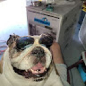 Meet your Posher, Jax